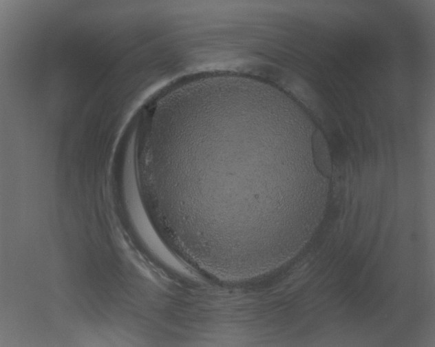 X0000051880628200506241414