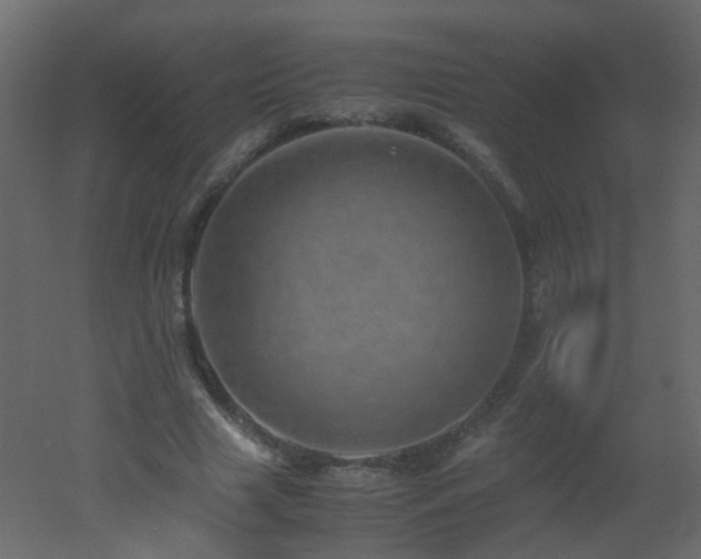 X0000051880633200506241414