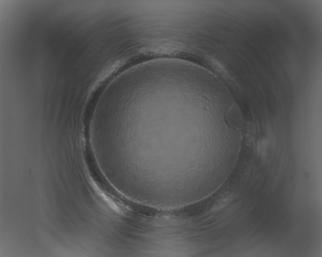 X0000051880634200506241414