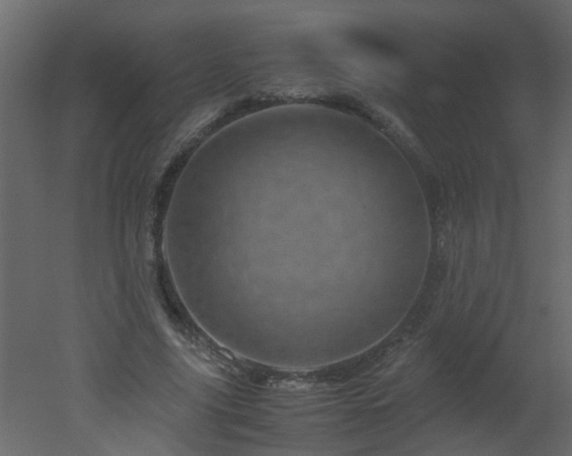 X0000051880635200506241414
