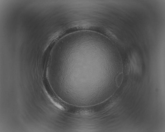 X0000051880638200506241414