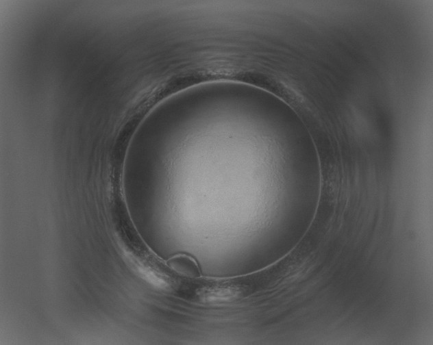 X0000051880639200506241414