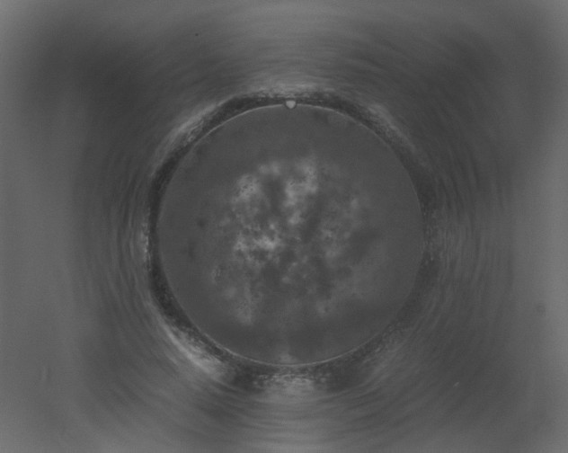 X0000051880640200506241414