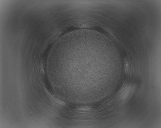X0000051880643200506241414