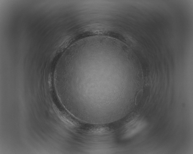 X0000051880646200506241414