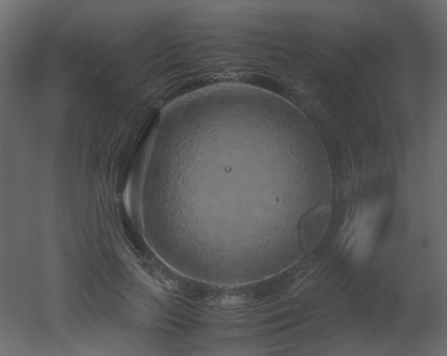 X0000051880647200506241414