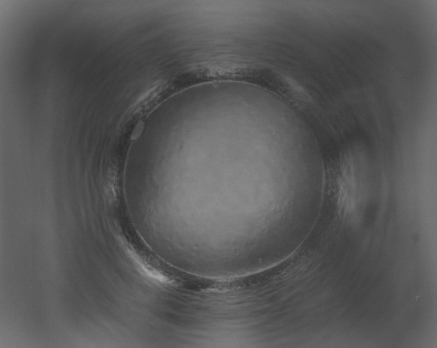 X0000051880648200506241414