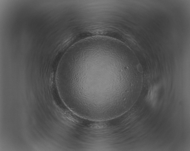 X0000051880652200506241415