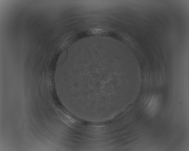 X0000051880653200506241415