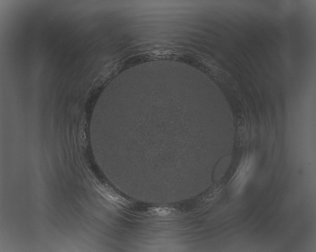 X0000051880654200506241415