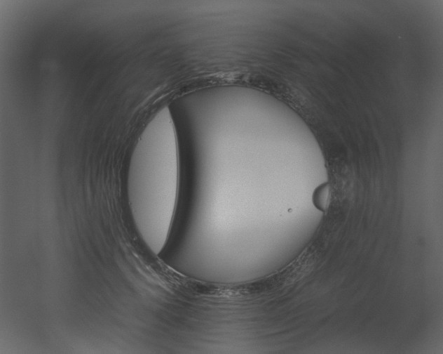 X0000051880656200506241415