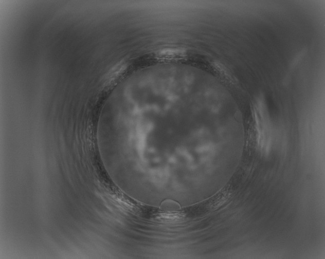 X0000051880659200506241415