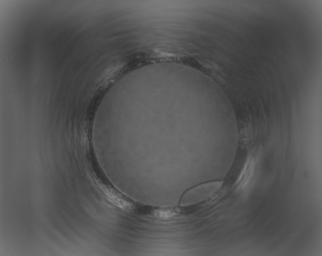 X0000051880662200506241415