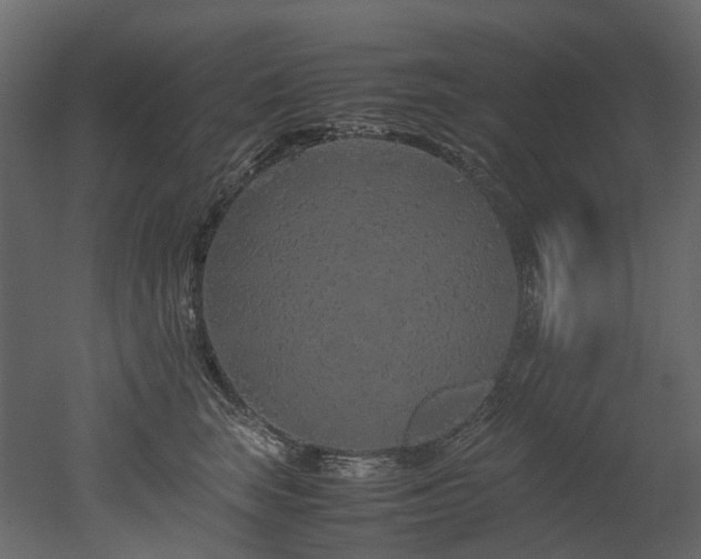 X0000051880663200506241415