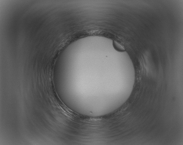 X0000051880664200506241415