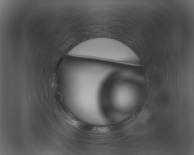 X0000051880665200506241415