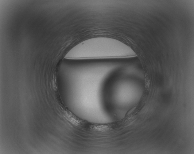 X0000051880669200506241415