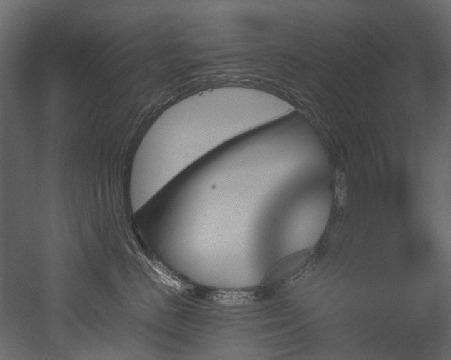 X0000051880670200506241415