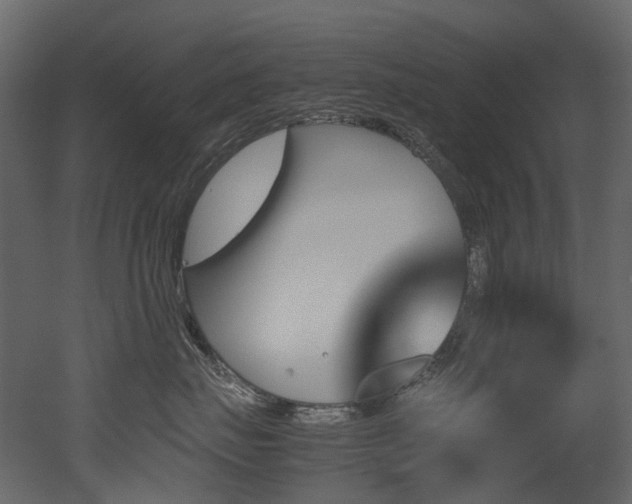 X0000051880671200506241415