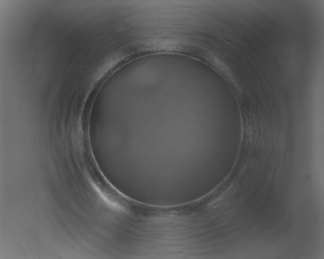 X0000051880674200506241414