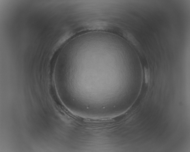 X0000051880675200506241414