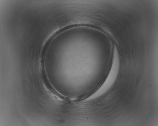 X0000051880676200506241414