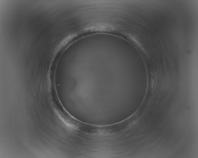 X0000051880678200506241414