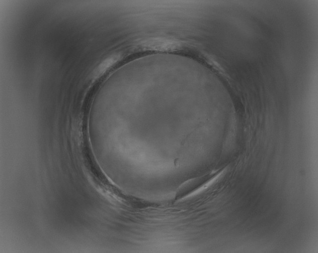 X0000051880679200506241414