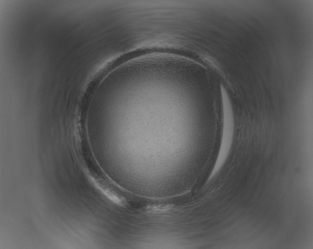 X0000051880680200506241414