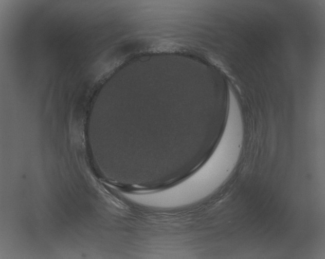 X0000051880681200506241414