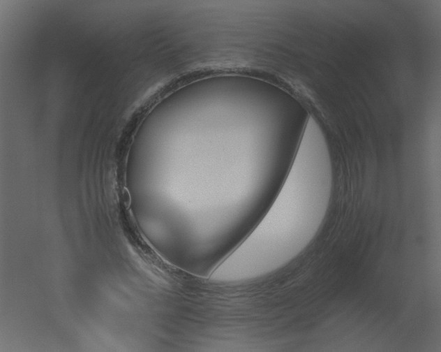 X0000051880684200506241414