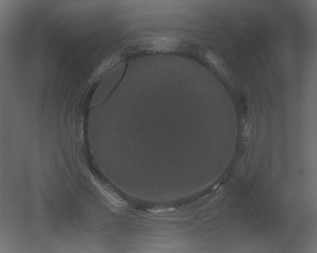 X0000051880685200506241414