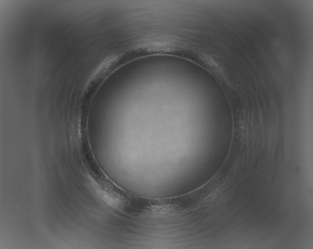 X0000051880686200506241414