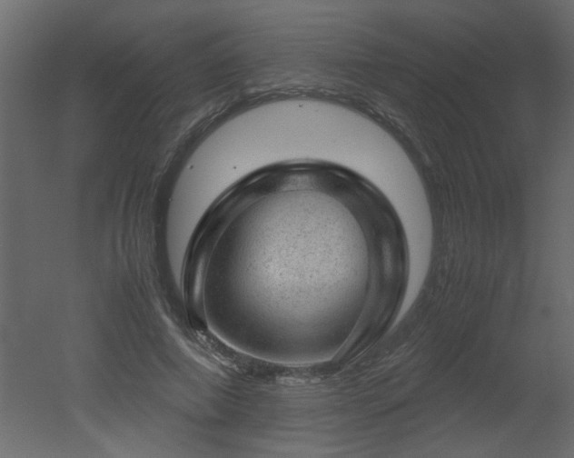 X0000051880690200506241414