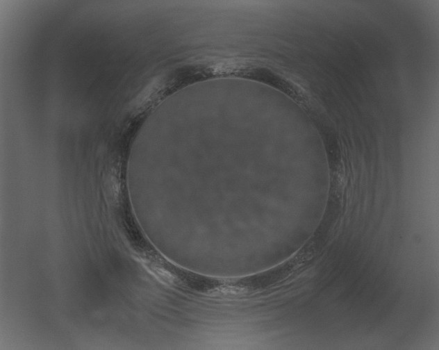 X0000051880691200506241414
