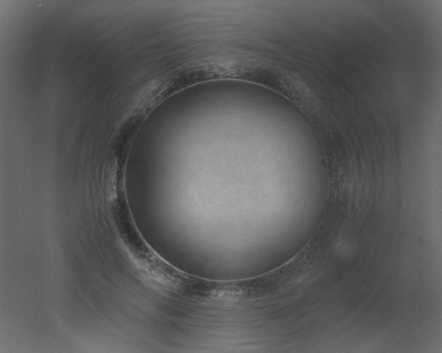 X0000051880694200506241414