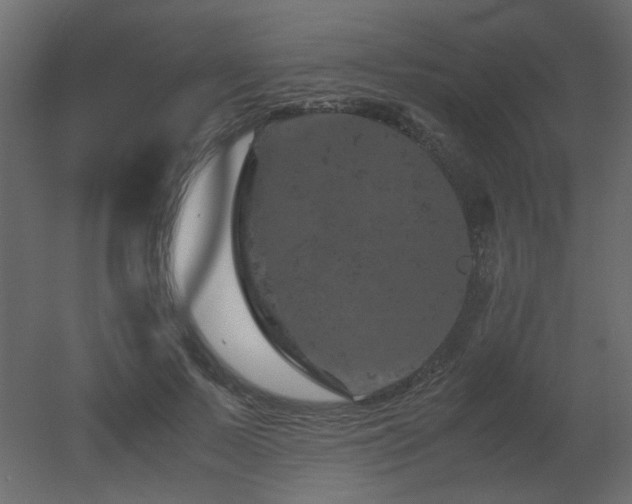 X0000051880695200506241414
