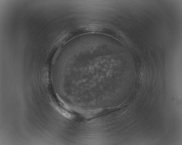 X0000051880696200506241414
