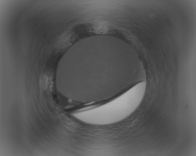 X0000051880697200506241414