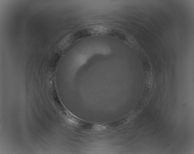 X0000051880701200506241414