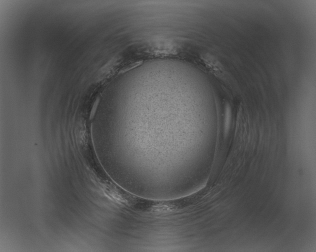 X0000051880704200506241414