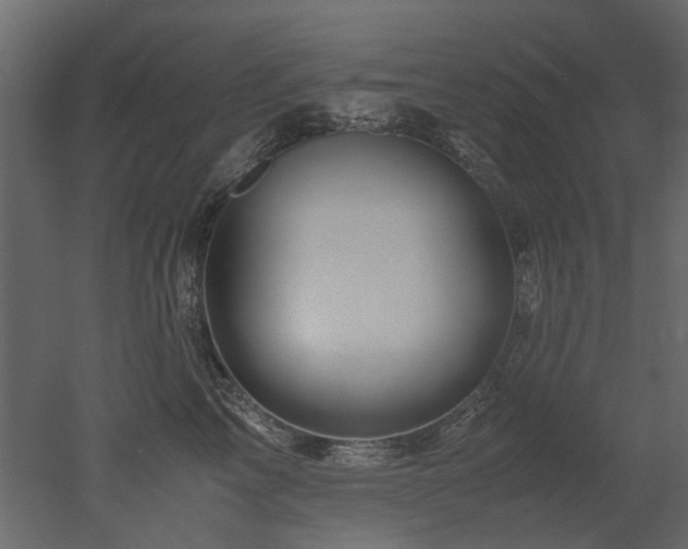 X0000051880713200506241413