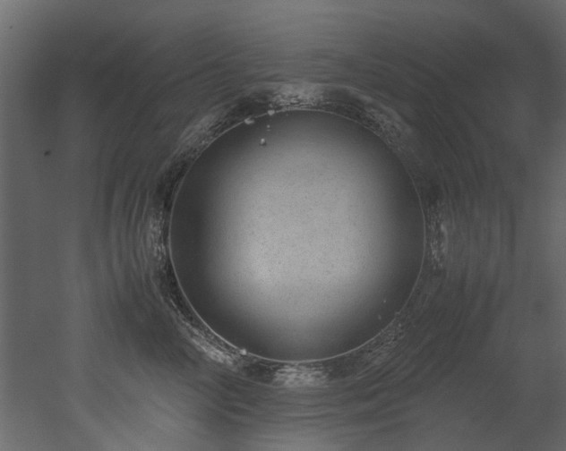 X0000051880714200506241413