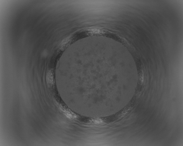 X0000051880715200506241413