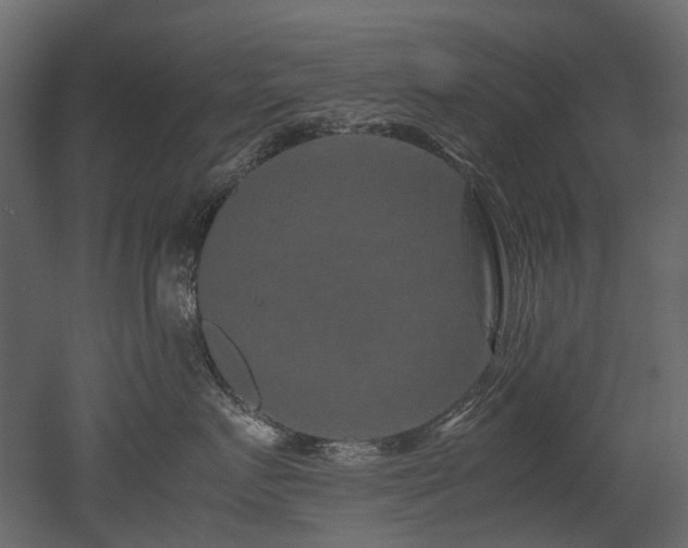 X0000051880719200506241413