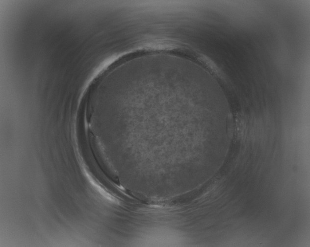 X0000051880726200506241413
