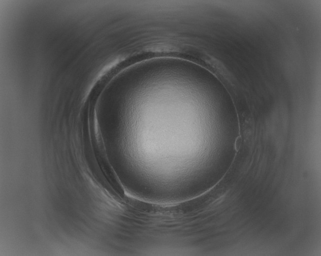 X0000051880727200506241413