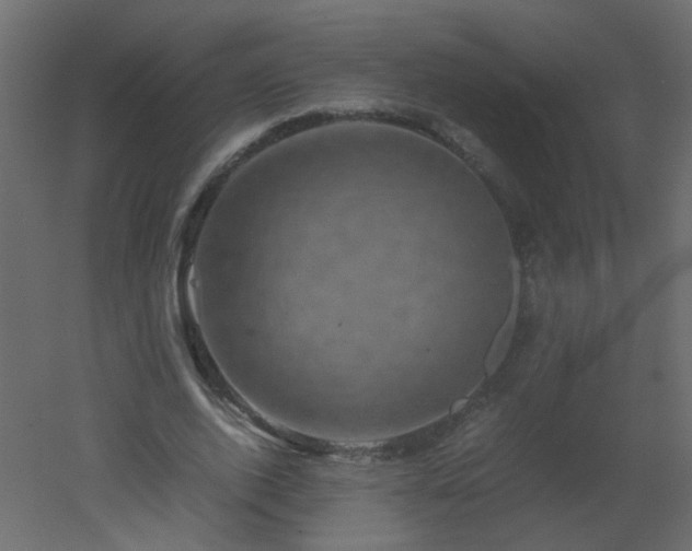X0000051880728200506241413
