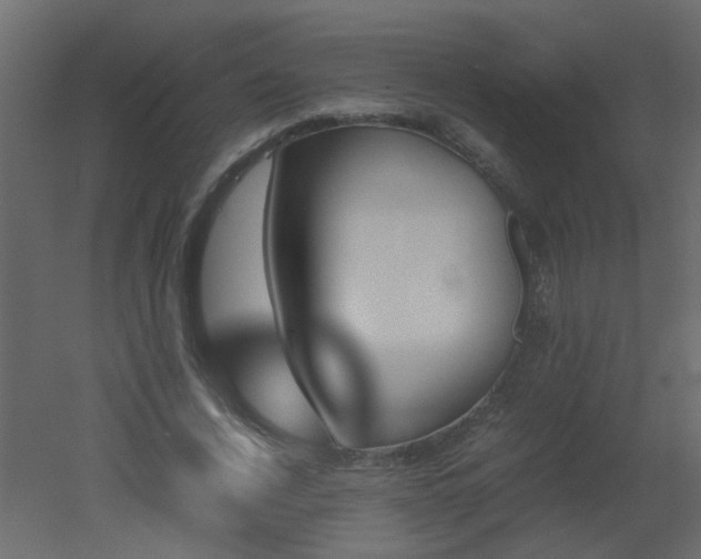X0000051880732200506241413
