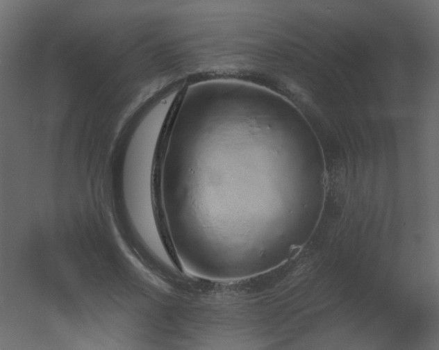 X0000051880734200506241413